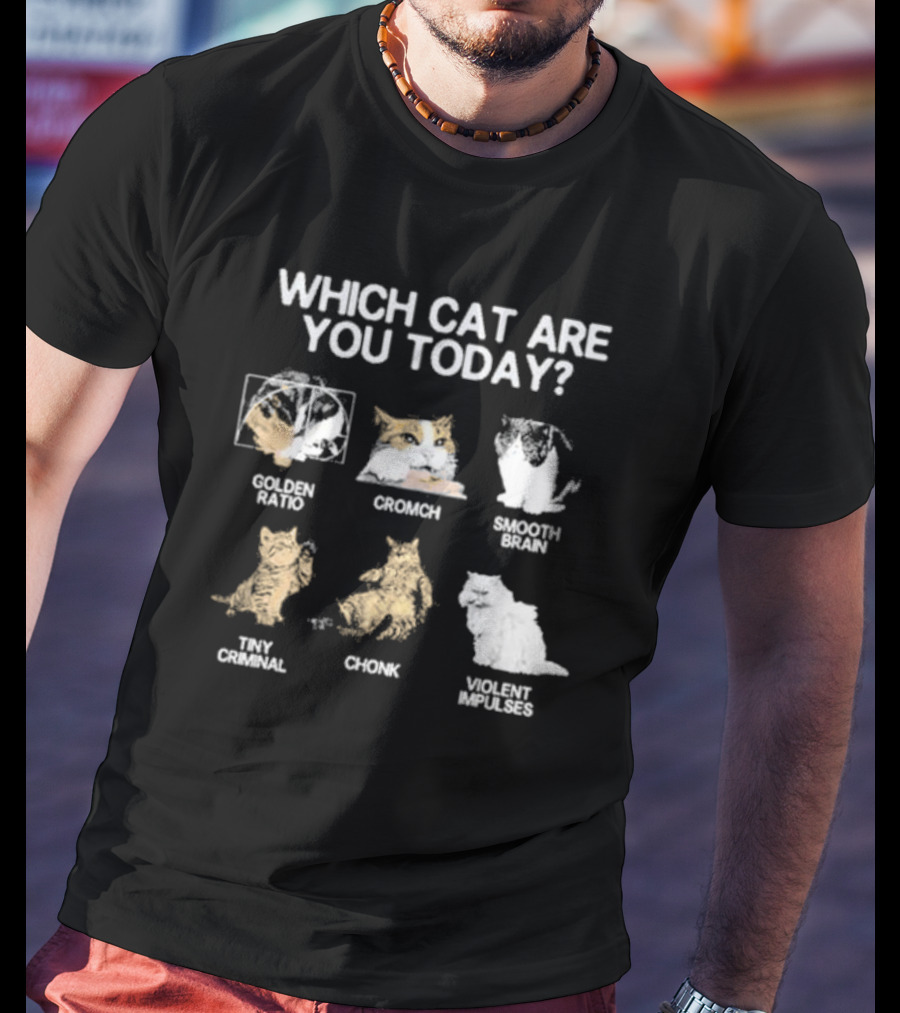 Which Cat Are You Today Golden Ratio Cromch Smooth Brain Tiny Criminal Chonk Violent Impulses T-Shirt