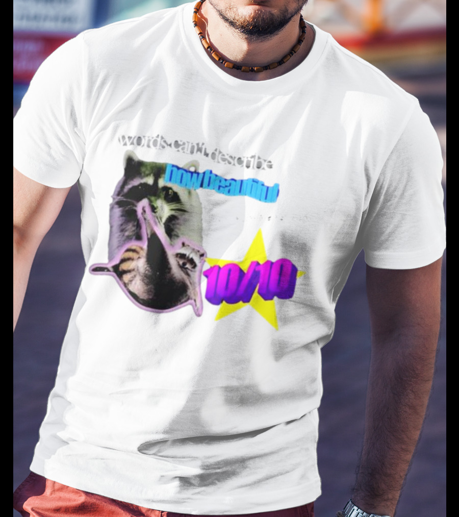Words Can't Describe How Beautiful I Am But Numbers Can 10/10 Raccoon Star T-Shirt