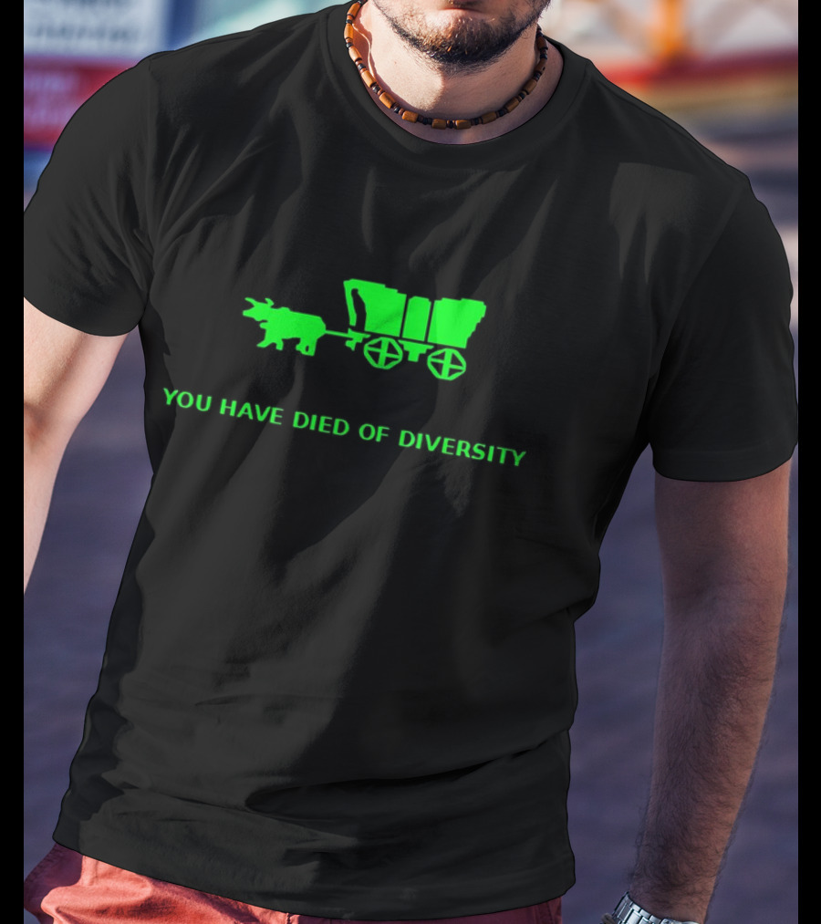 You Have Died Of Diversity Oregon Trail Pixel T-Shirt
