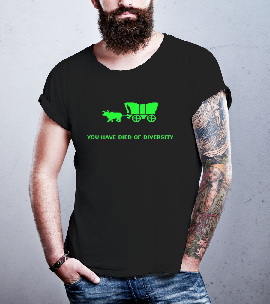 You Have Died Of Diversity Oregon Trail Pixel T-Shirt