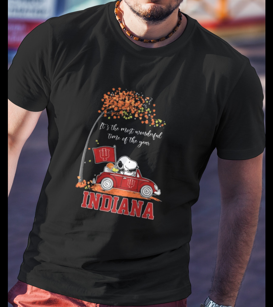 Indiana Hoosiers Snoopy And Woodstock Driving Car Fall It’s The Most Wonderful Time Of The Year T-Shirt