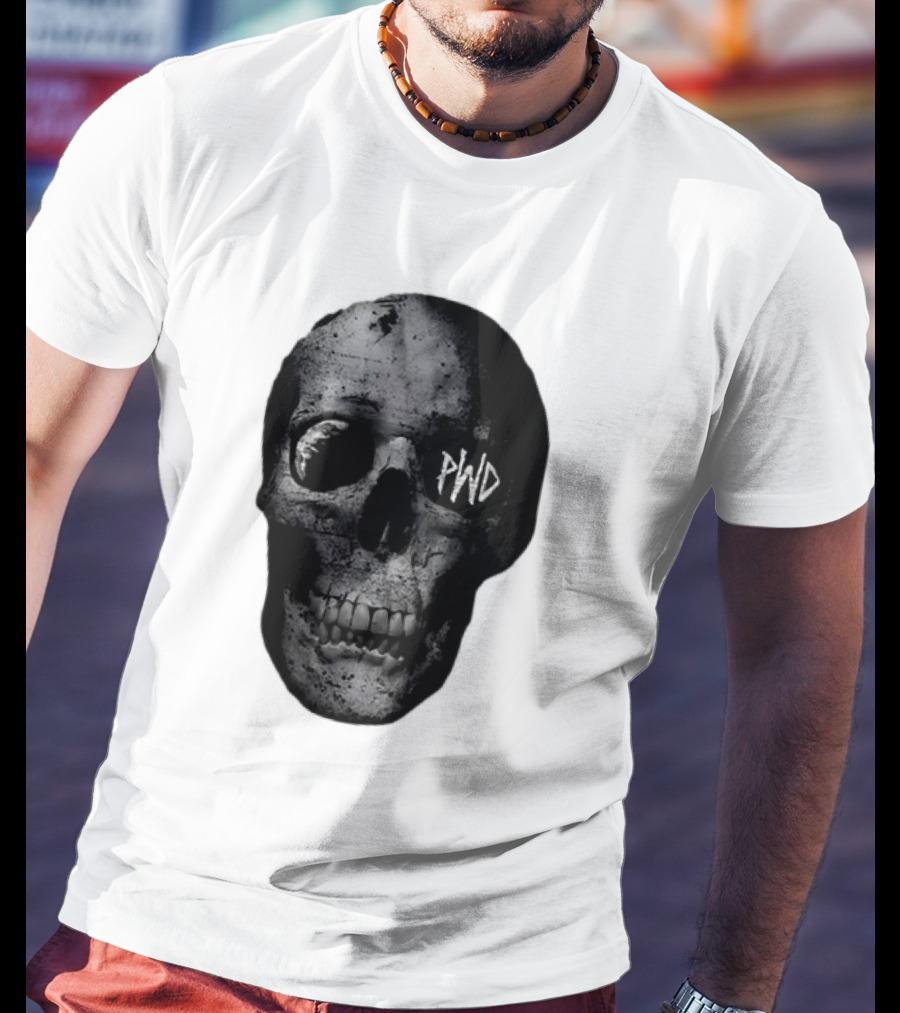 PWD Parkway Drive Dark Days 2012 Atlas Skull Image T-Shirt