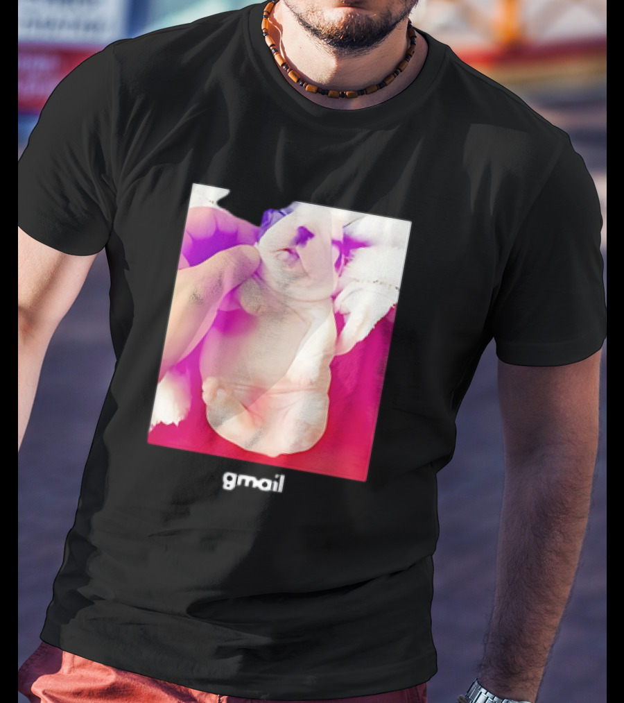 Pibble Palace Gmail Puppy Image T-Shirt