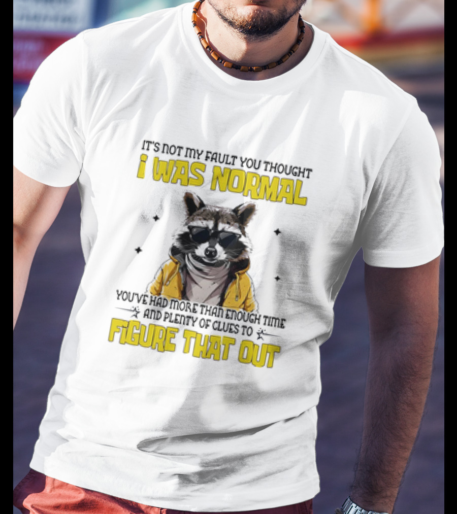 Raccoon It's Not My Fault You Thought I Was Normal You've Had More Than Enough Time And Plenty Of Clues To Figure That Out T-Shirt