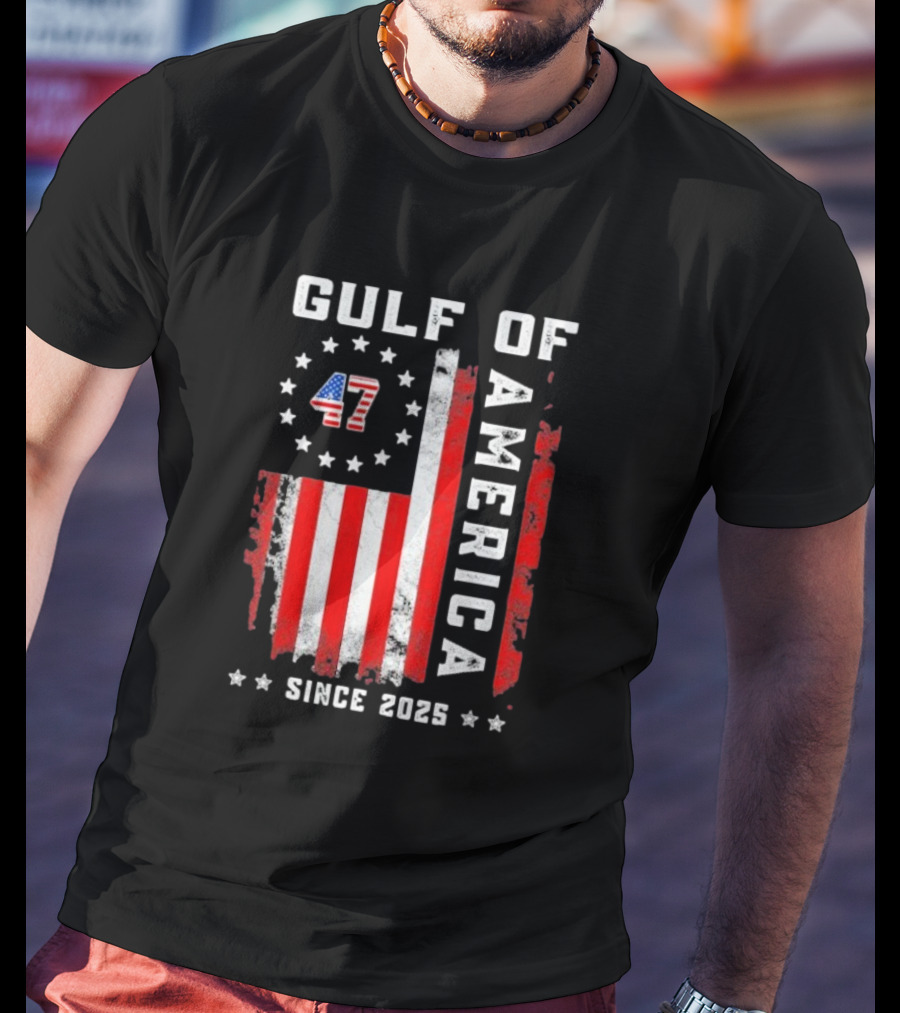 Gulf Of USA America Vintage USA Flag Grunged 2025 T-Shirt