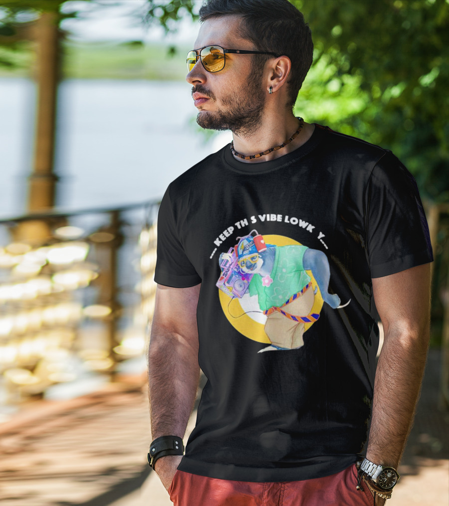 Sloth Keeping This Vibe Lowkey With Boombox And Sunglasses T-Shirt