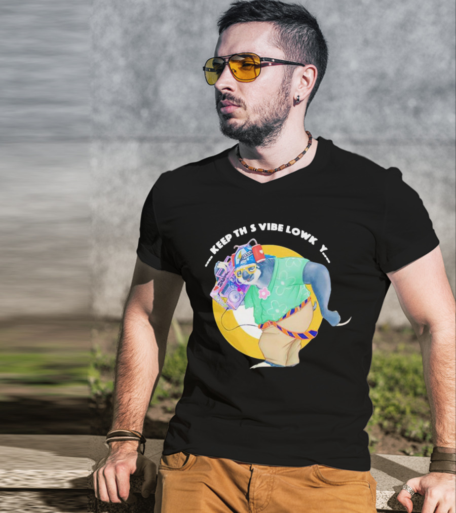 Sloth Keeping This Vibe Lowkey With Boombox And Sunglasses T-Shirt