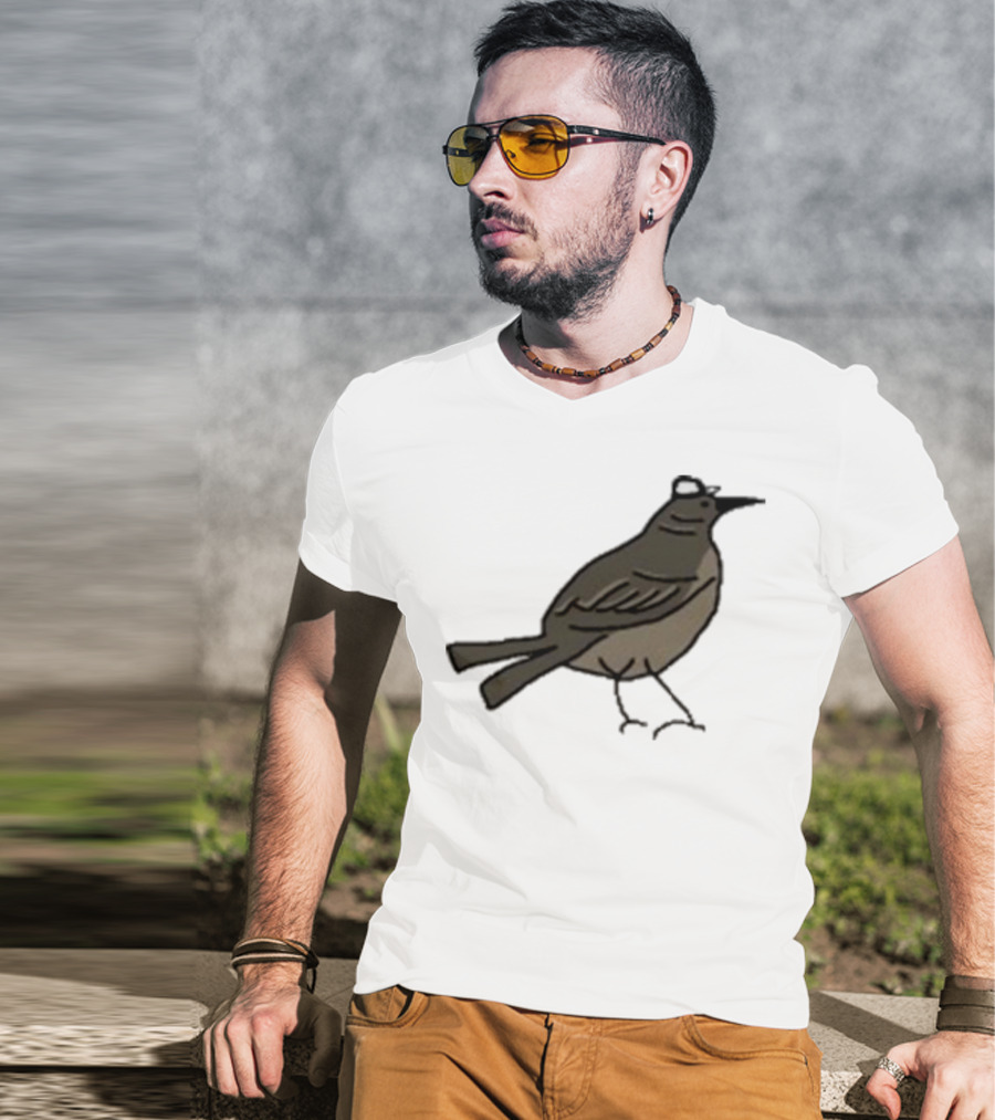 Dallas Stars Mr. Mockingbird Victory Green Bird T-Shirt