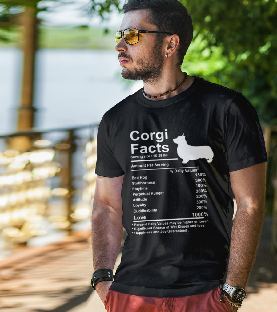 Corgi Facts Love Loyalty Attitude Stubbornness Happiness Guaranteed T-Shirt