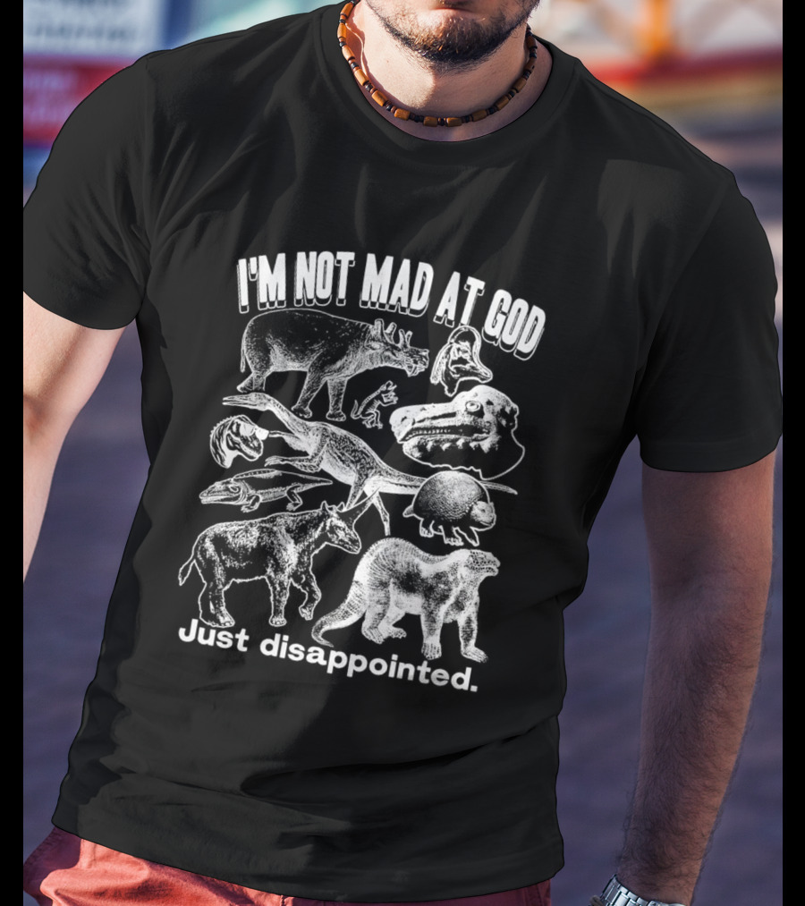 I’m Not Mad At God Just Disappointed Dinosaur And Animal Sketches T-Shirt