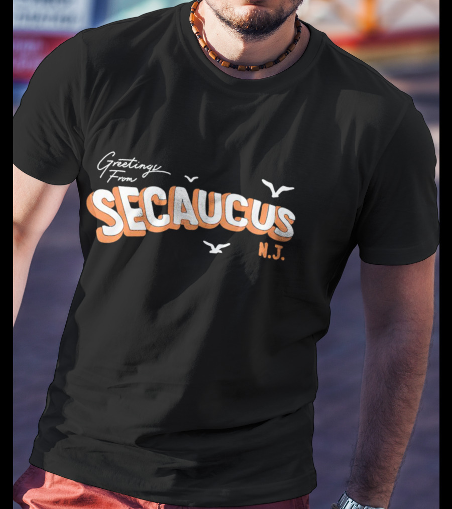 Greetings From Secaucus N.J. Vintage Postcard Style With Seagulls T-Shirt