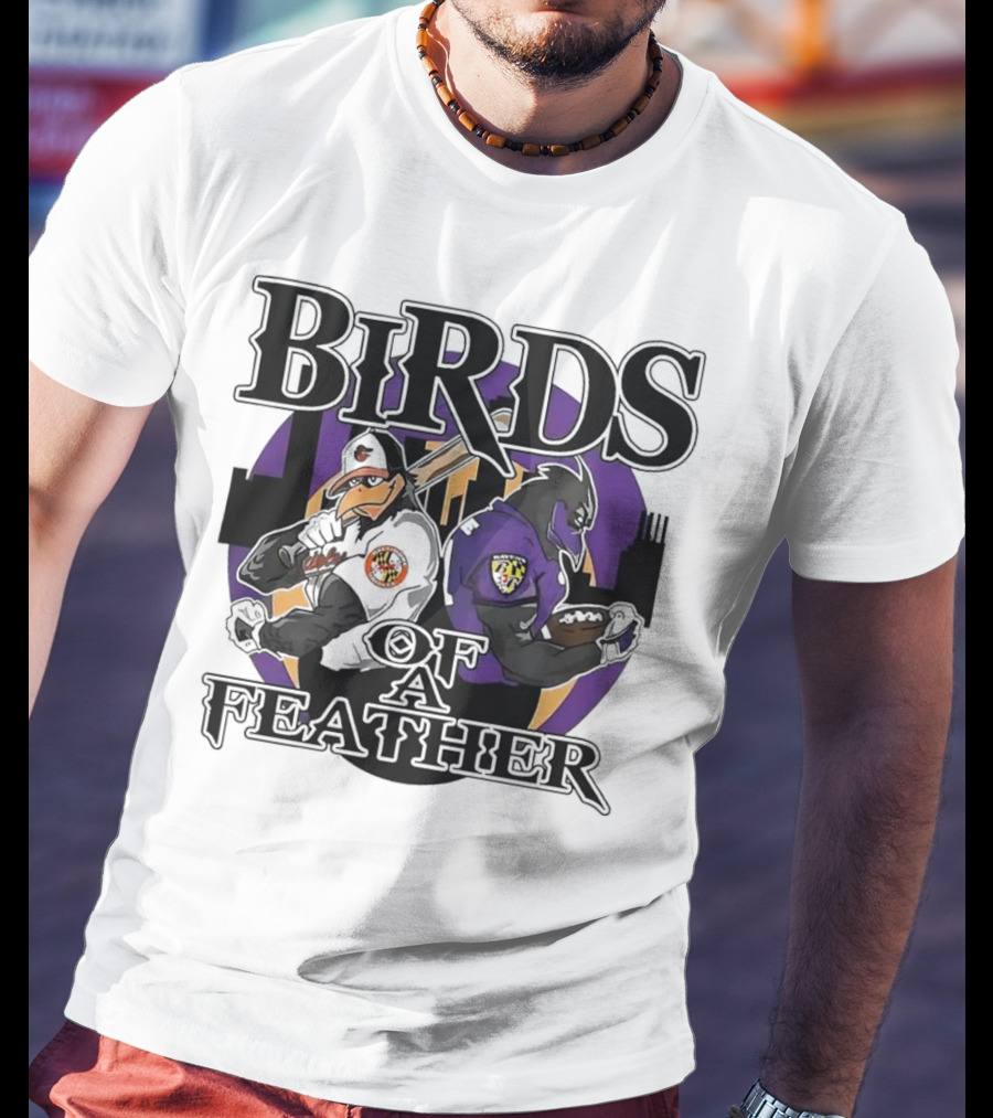 Birds Of A Feather Baltimore Ravens And Orioles T-Shirt