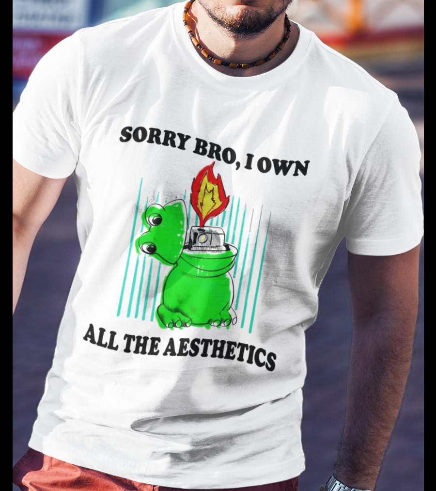 Sorry Bro I Own All The Aesthetics Melting Frog Lighter Flame T-Shirt