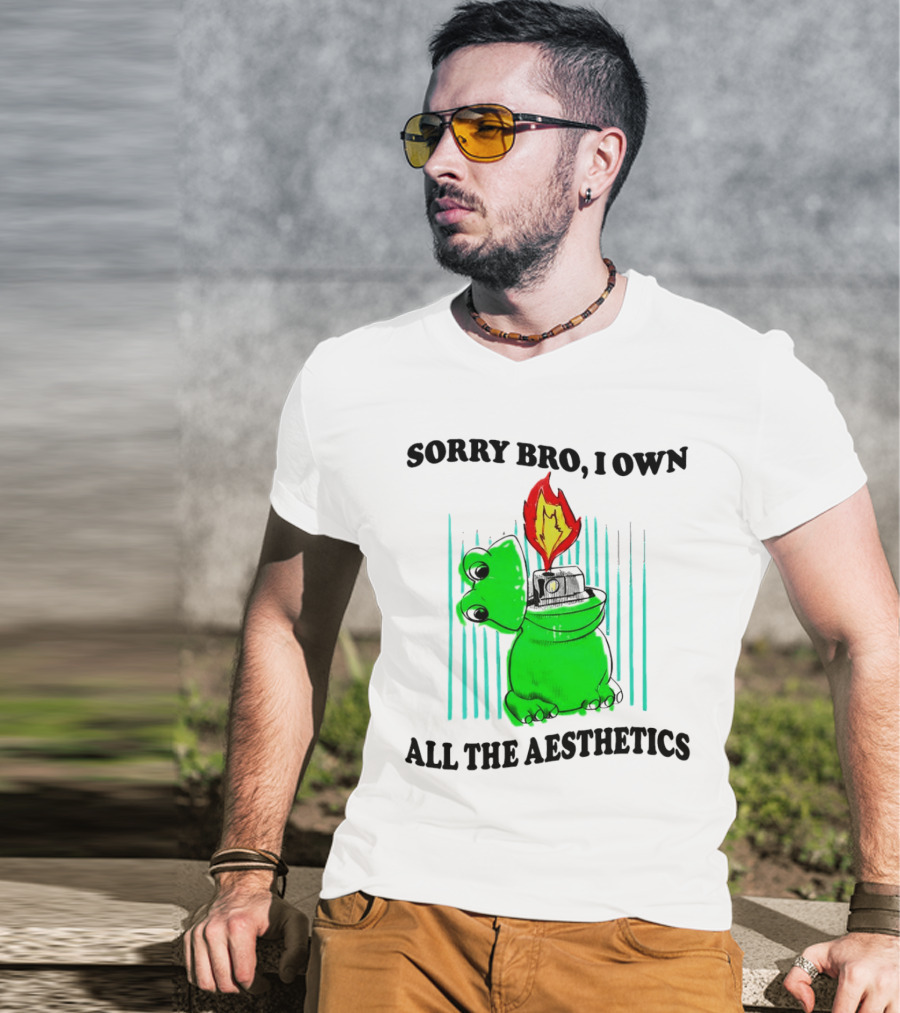 Sorry Bro I Own All The Aesthetics Melting Frog Lighter Flame T-Shirt