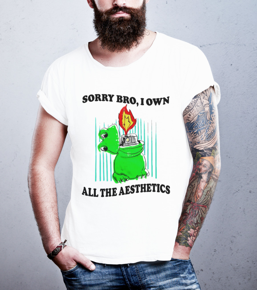 Sorry Bro I Own All The Aesthetics Melting Frog Lighter Flame T-Shirt
