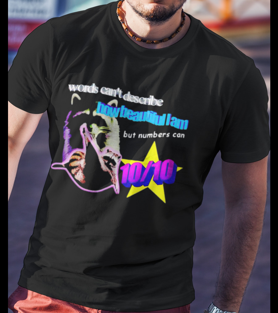Words Can’t Describe How Beautiful I Am But Numbers Can Raccoon 10/10 Star T-Shirt