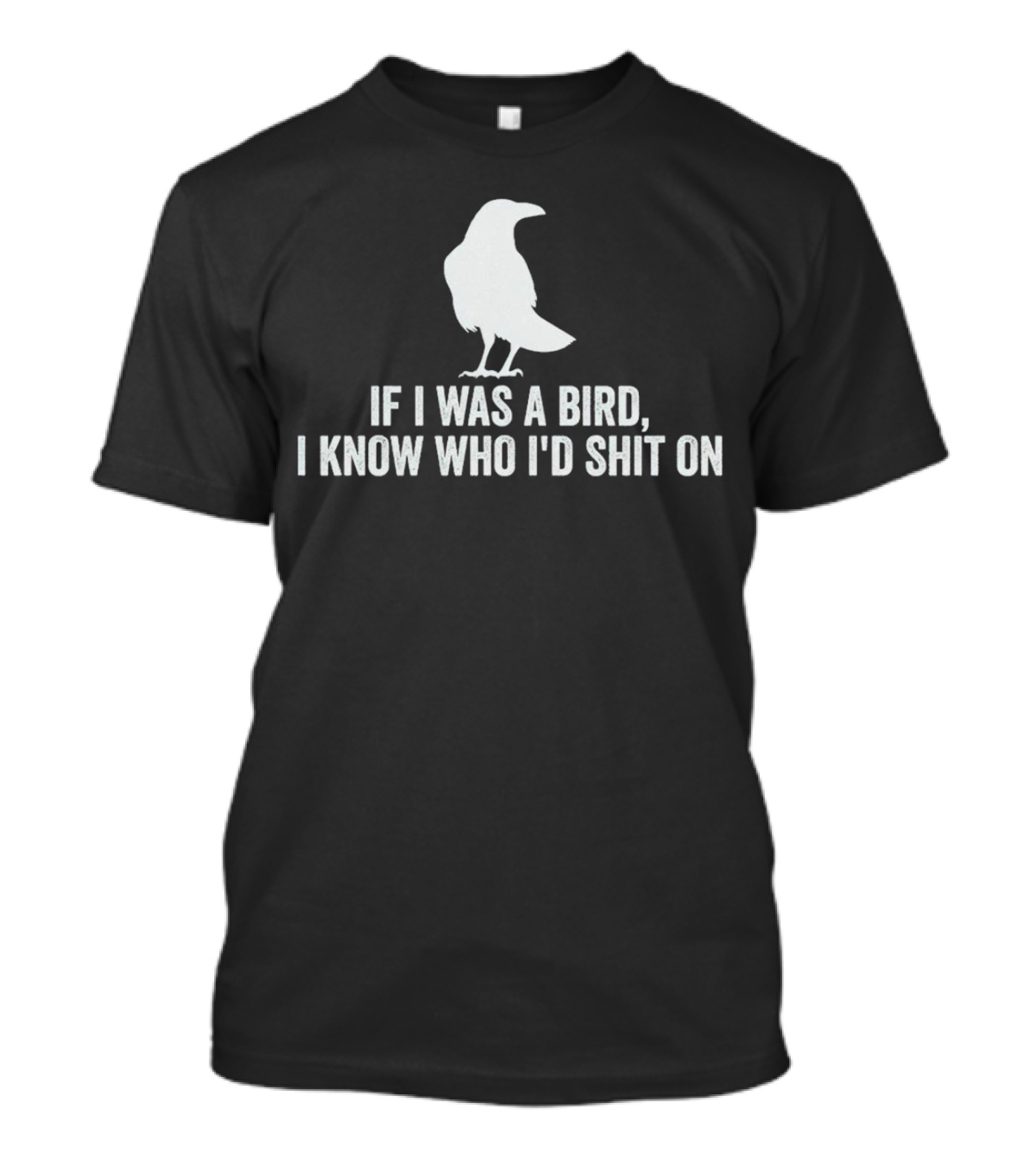 If I Was A Bird I Know Who I'd Shit On With Silhouette Of Bird T-Shirt