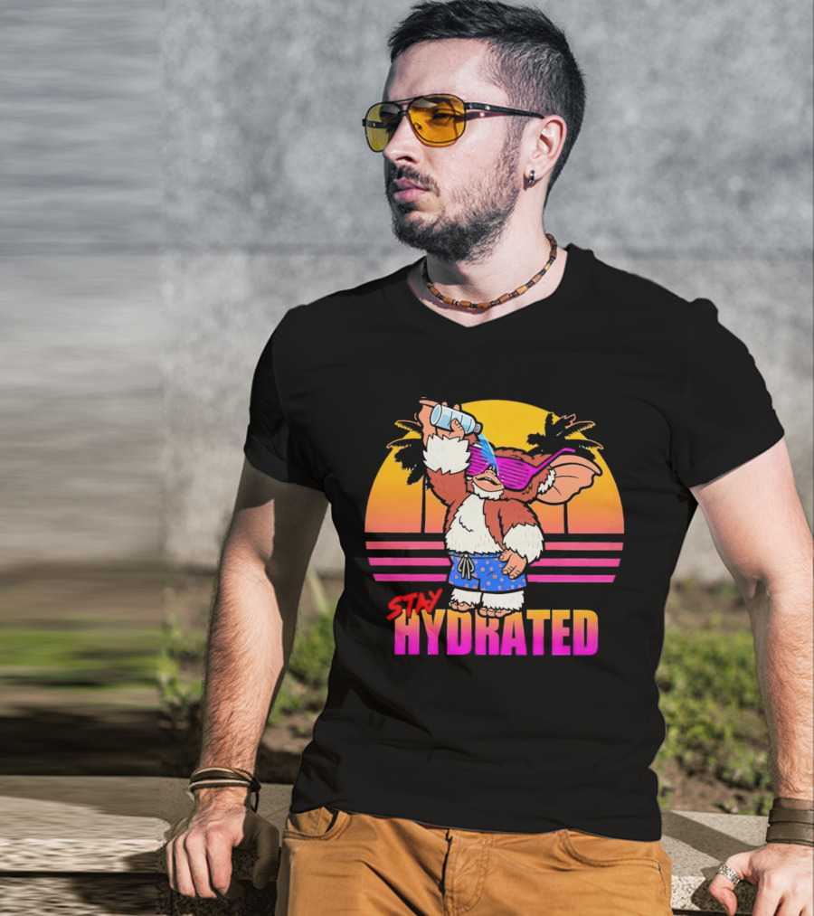 Stay Hydrated Gizmo Summer Beach Vibes With Sunset And Palm Trees T-Shirt