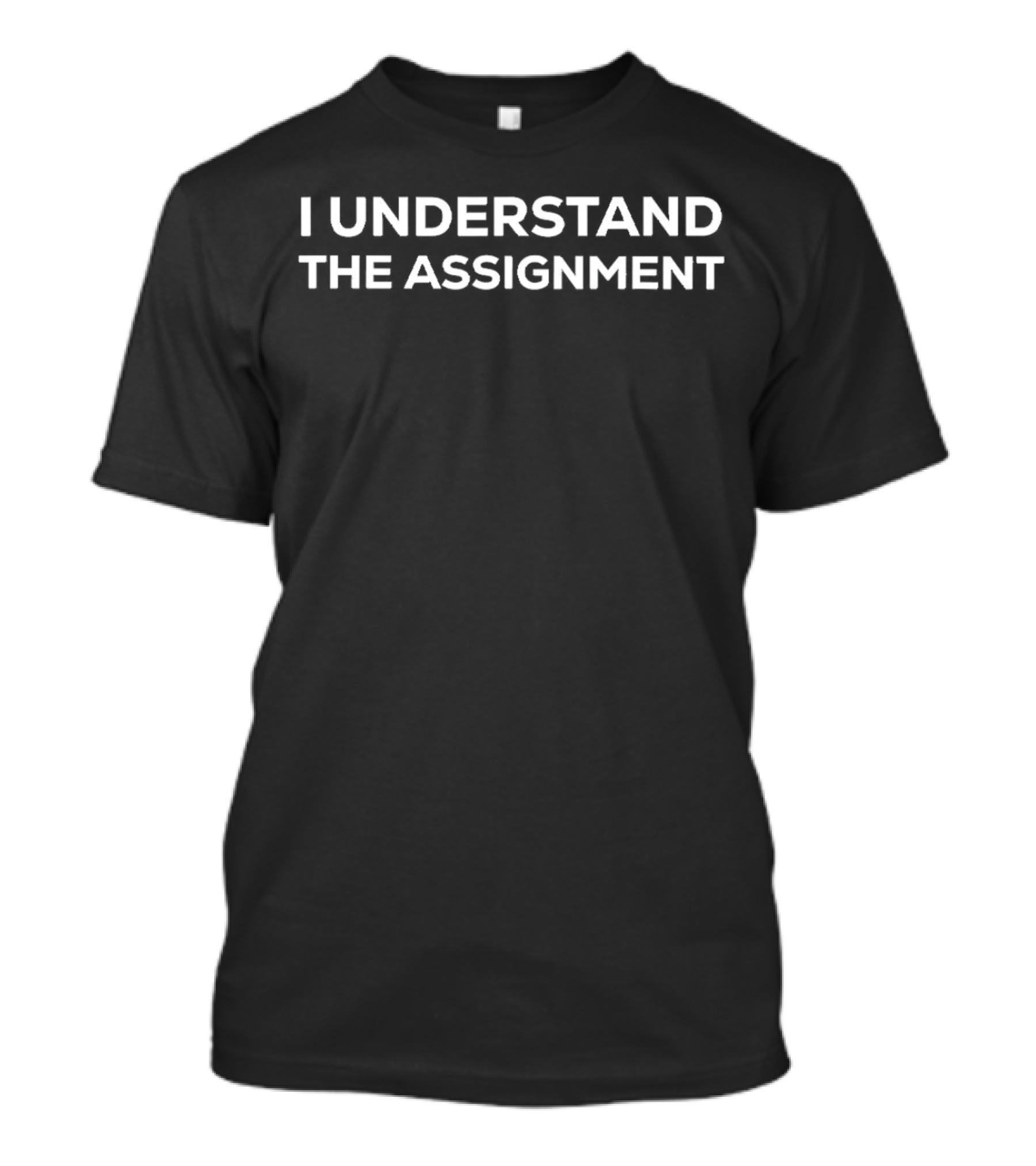 I Understand The Assignment Phrase T-Shirt