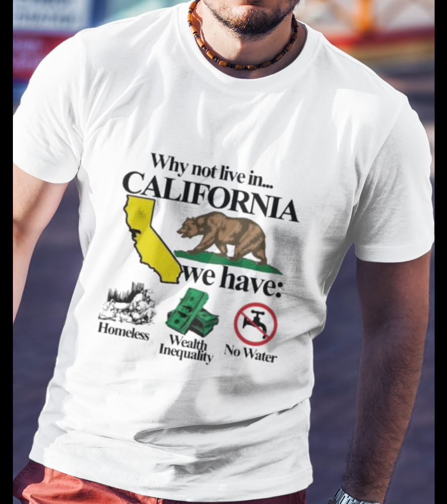 Why Not Live In California We Have Homeless Bear Wealth Inequality No Water T-Shirt