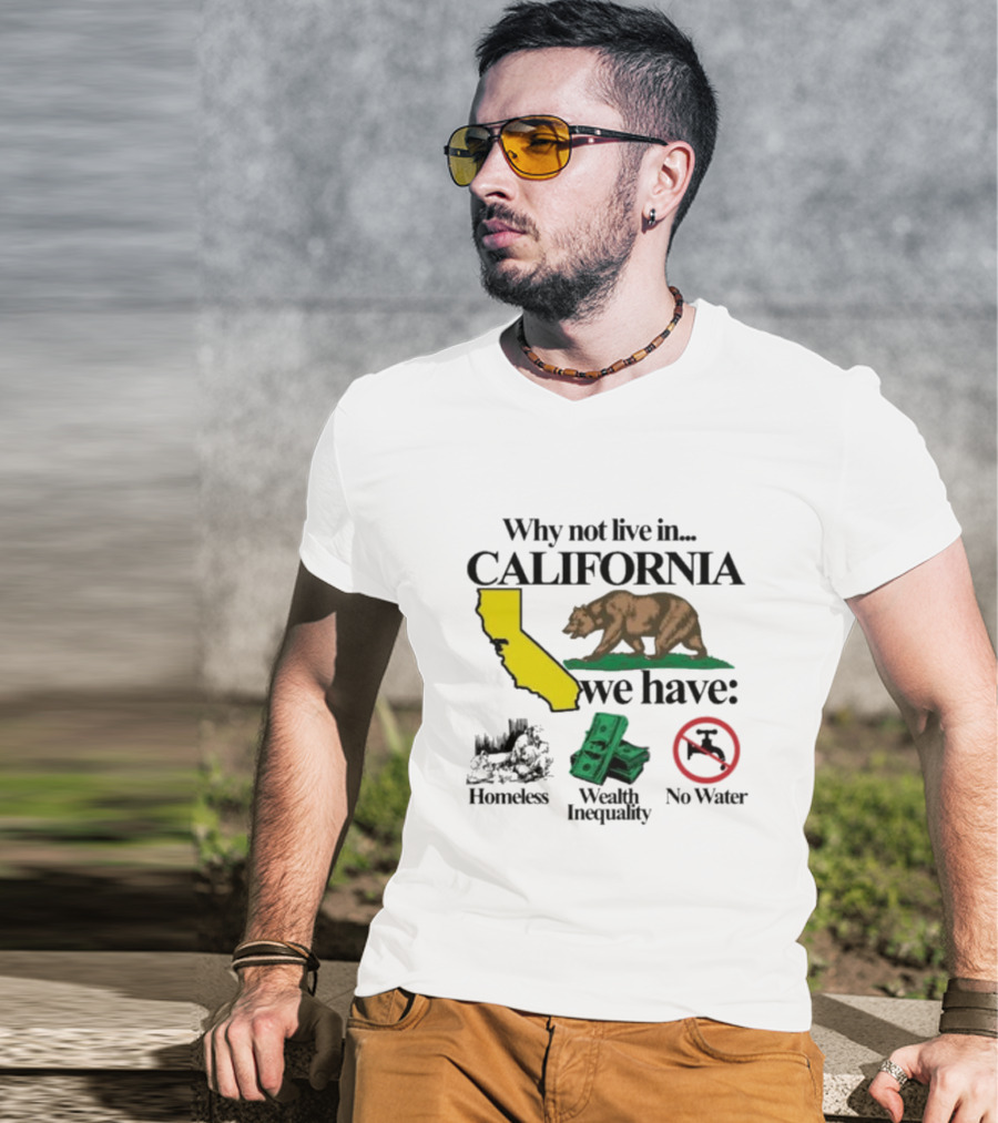 Why Not Live In California We Have Homeless Bear Wealth Inequality No Water T-Shirt