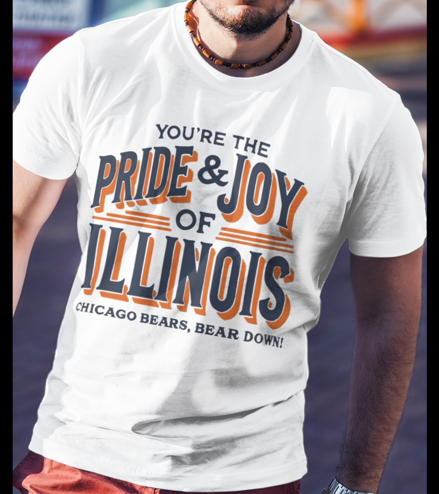 You're The Pride And Joy Of Illinois Chicago Bears Bear Down T-Shirt