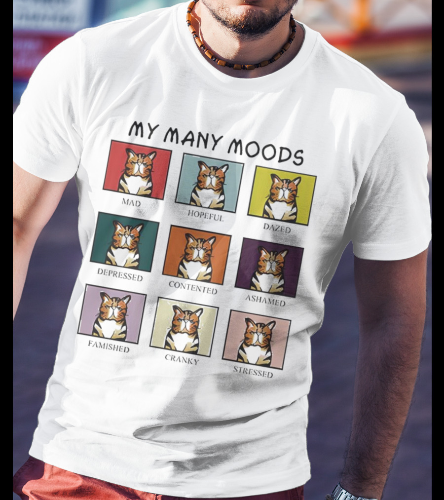 My Many Moods Mad Hopeful Dazed Depressed Contented Ashamed Famished Cranky Stressed T-Shirt