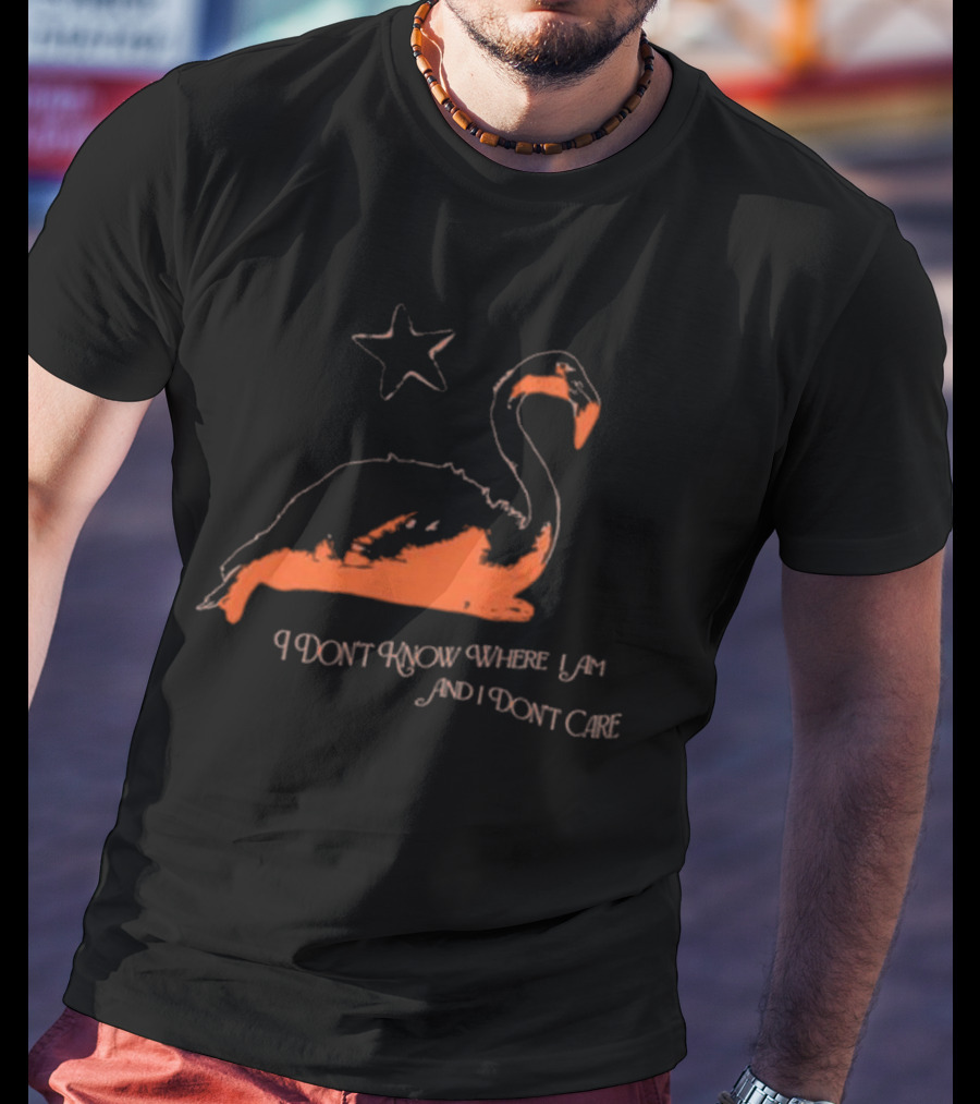 Flamingo I Don’t Know Where I Am And I Don’t Care With Star T-Shirt
