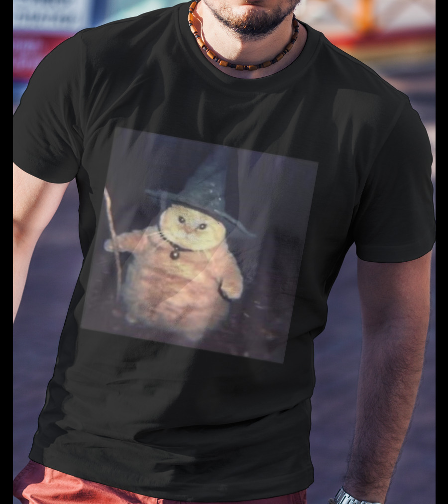 Cheeseball The Wizard Cat Meme Wearing Witch Hat And Holding Wand T-Shirt