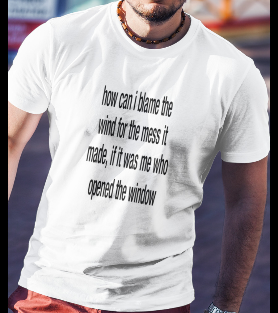 How Can I Blame The Wind For The Mess It Made Life On No Qualifications T-Shirt