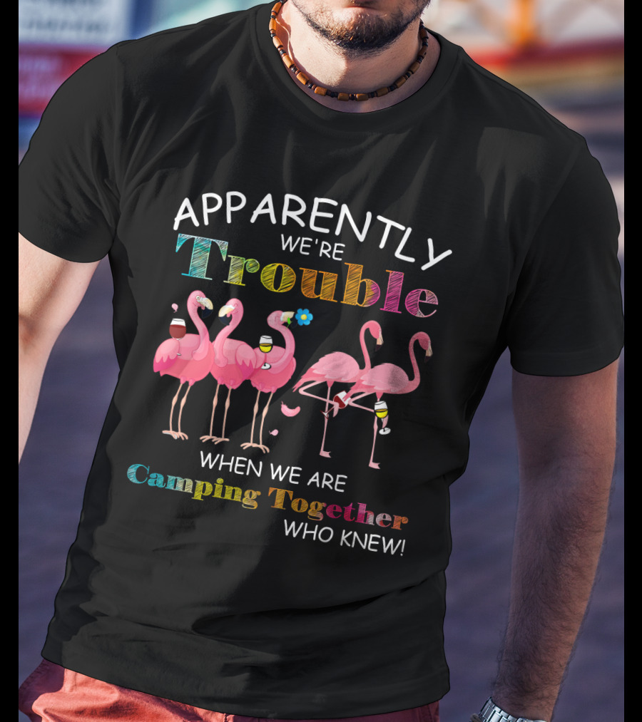 Apparently We're Trouble When We Are Camping Together With Flamingos Who Knew T-Shirt