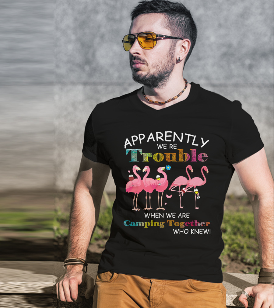 Apparently We're Trouble When We Are Camping Together With Flamingos Who Knew T-Shirt