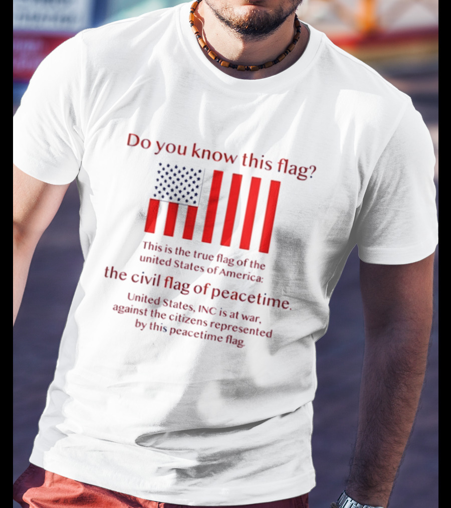 Do You Know This Flag True Flag Of The United States Civil Flag Of Peacetime United States INC At War Against Citizens T-Shirt