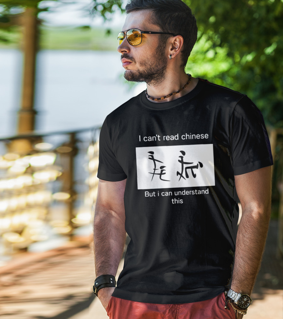 I Can't Read Chinese But I Can Understand This Humorous Pictorial Characters T-Shirt