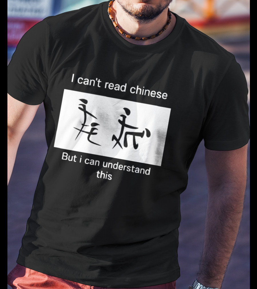 I Can't Read Chinese But I Can Understand This Humorous Pictorial Characters T-Shirt