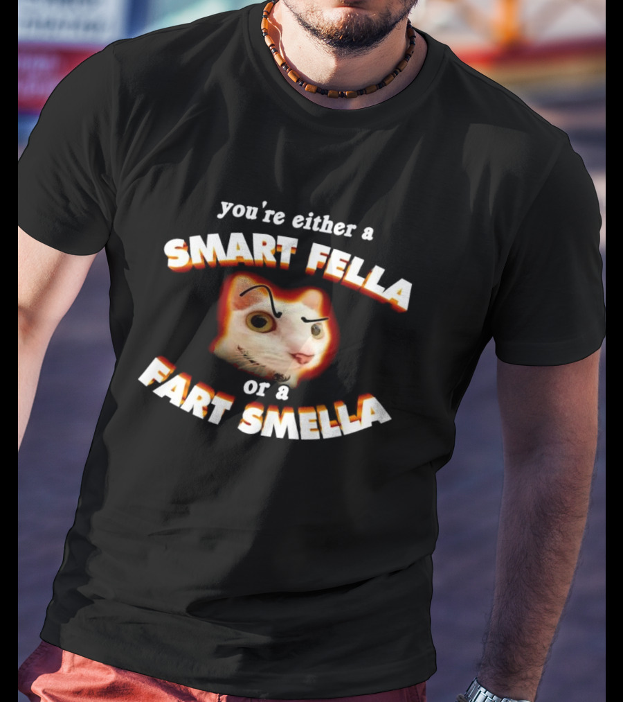 You're Either A Smart Fella Or A Fart Smella Cat Face T-Shirt
