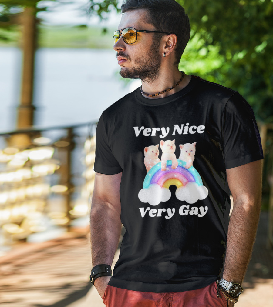 Very Nice Very Gay Cats On Rainbow T-Shirt