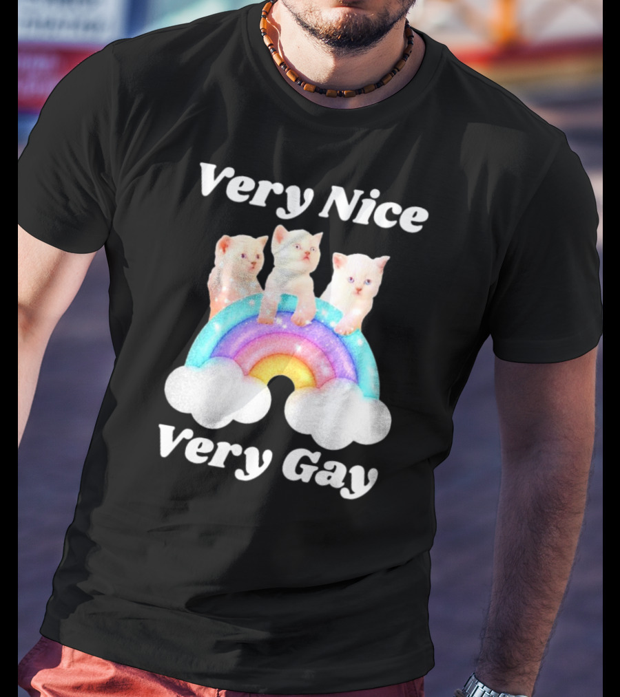 Very Nice Very Gay Cats On Rainbow T-Shirt