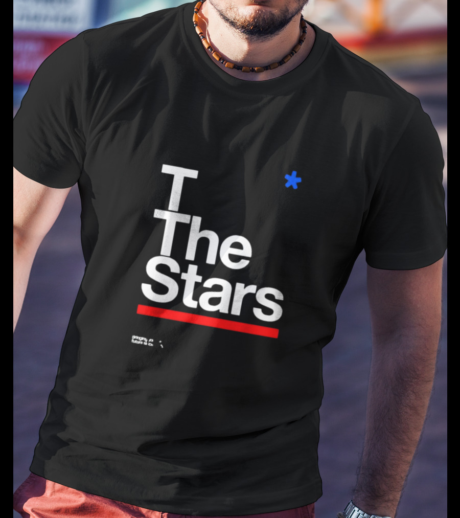 To The Stars San Diego California Blink-182 Phony Futures T-Shirt