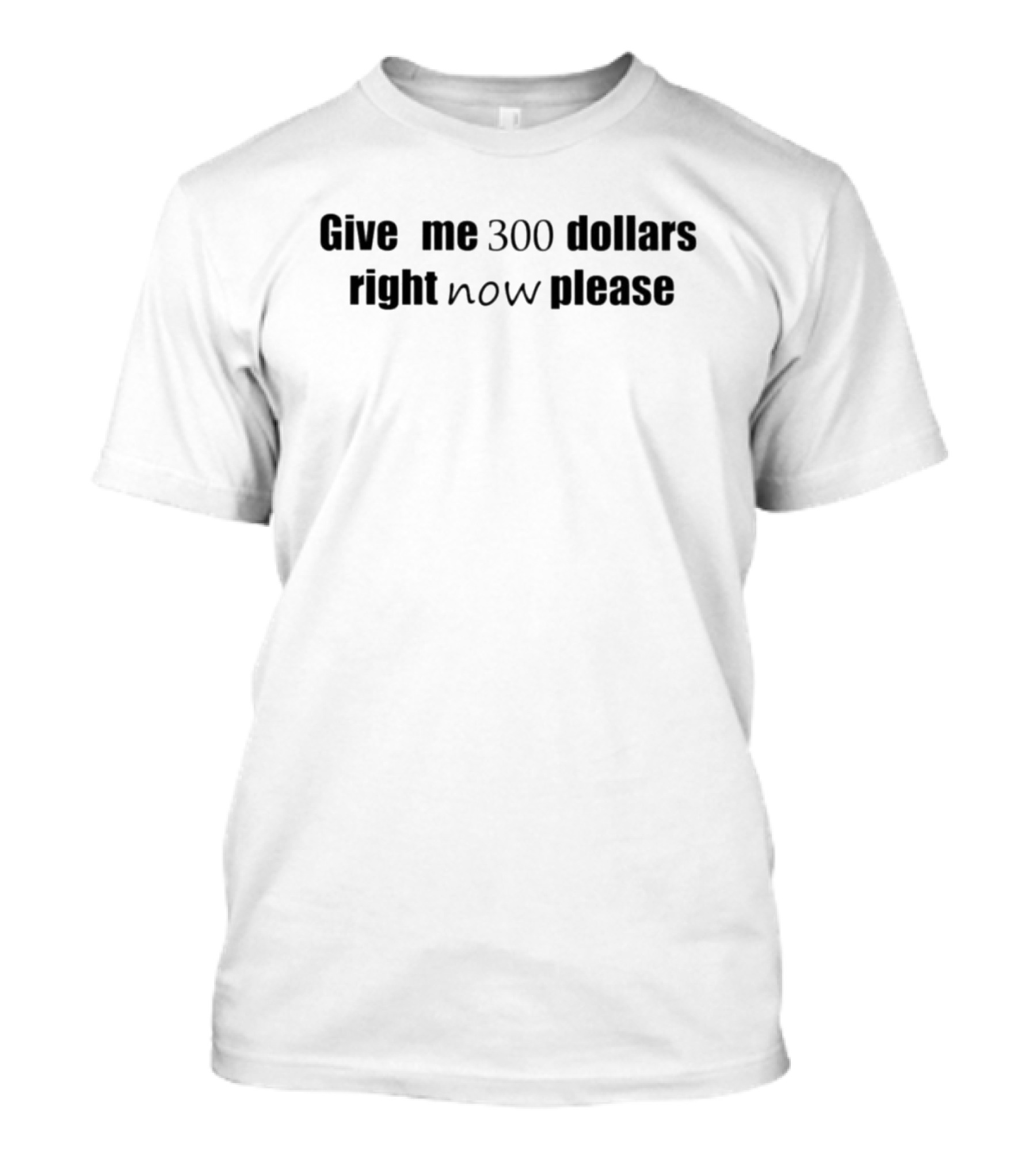 Give Me 300 Dollars Right Now Please T-Shirt