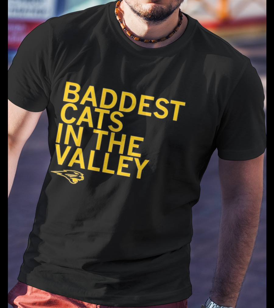 Baddest Cats In The Valley Northern Iowa Panthers T-Shirt