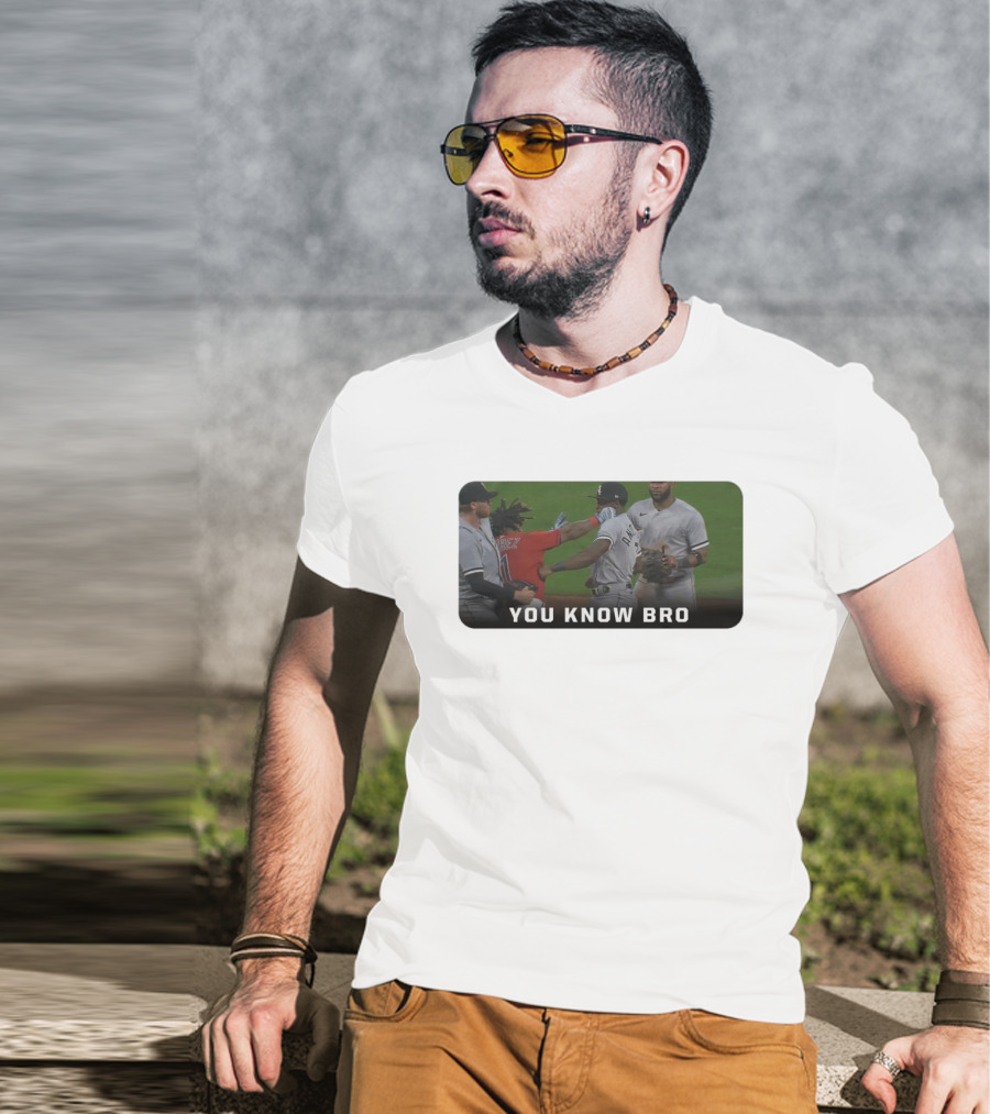 Down Goes Anderson You Know Bro Baseball Encounter Moment T-Shirt