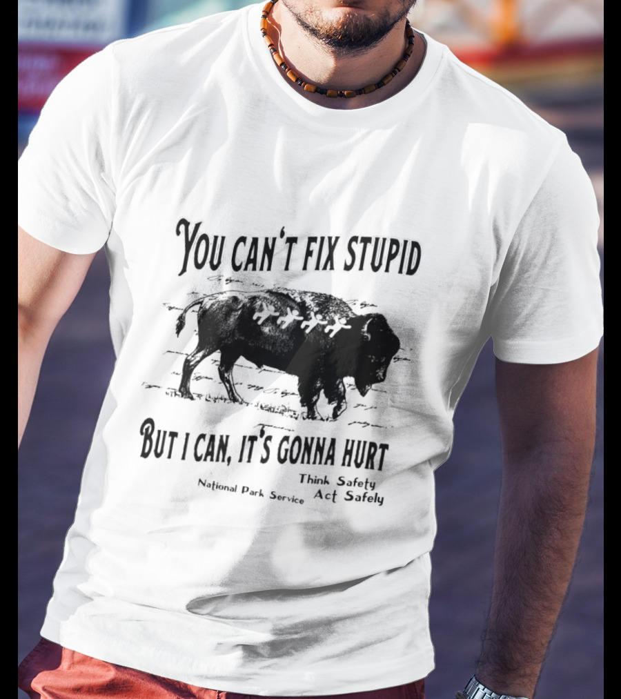 You Can't Fix Stupid But I Can, It's Gonna Hurt Think Safety Act Safely National Park Service T-Shirt