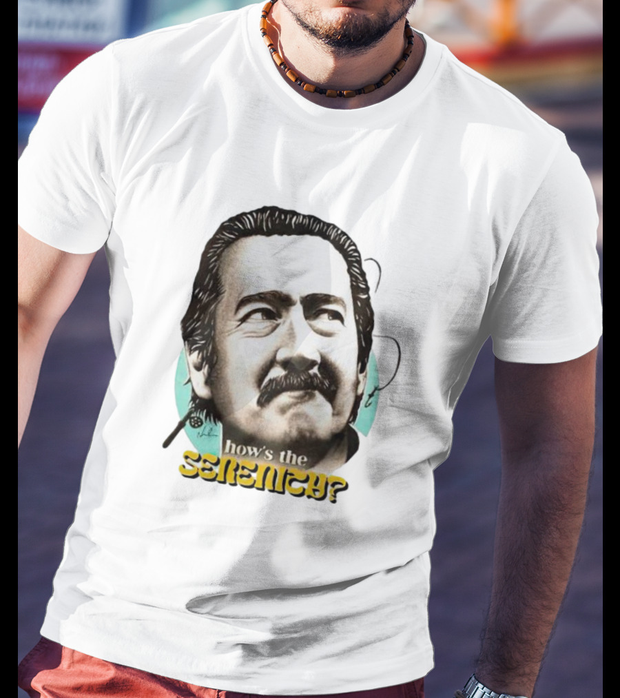 How’s The Serenity Expression With Thoughtful Gaze T-Shirt