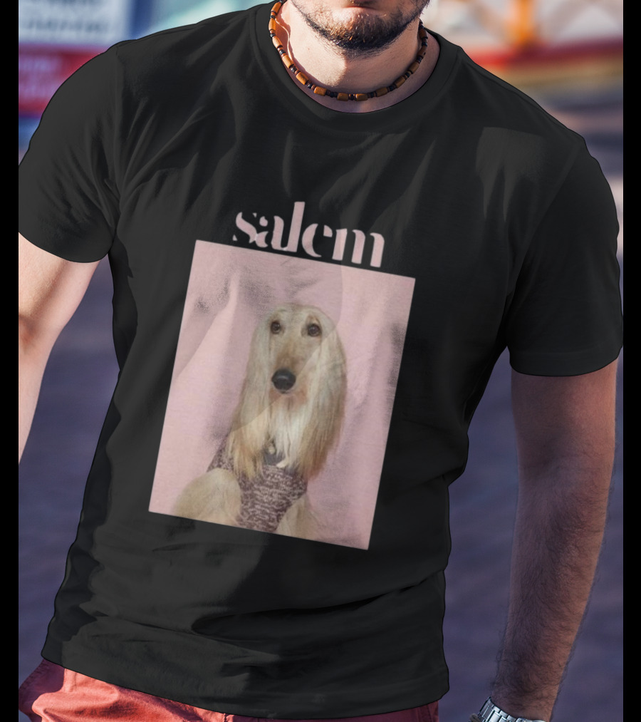 Salem Ilese Dog Afghan Hound Portrait On Pink Background T-Shirt