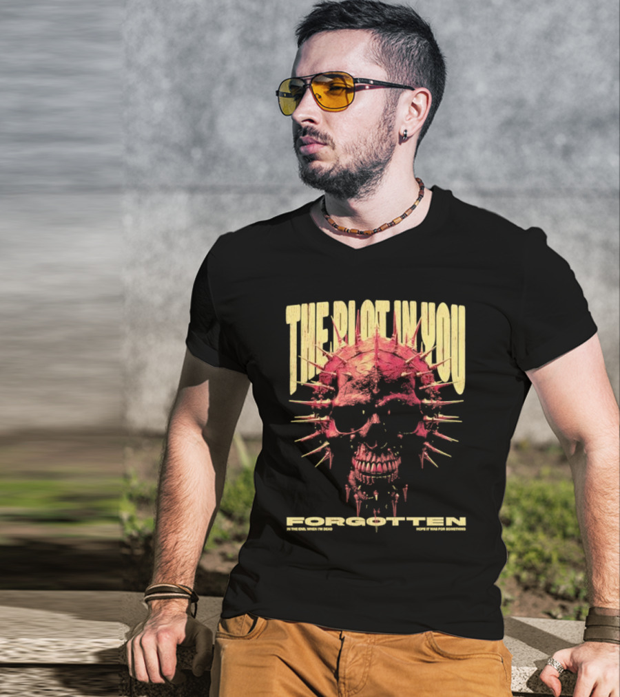 The Plot In You Forgotten Skull Hope It Was For Something T-Shirt