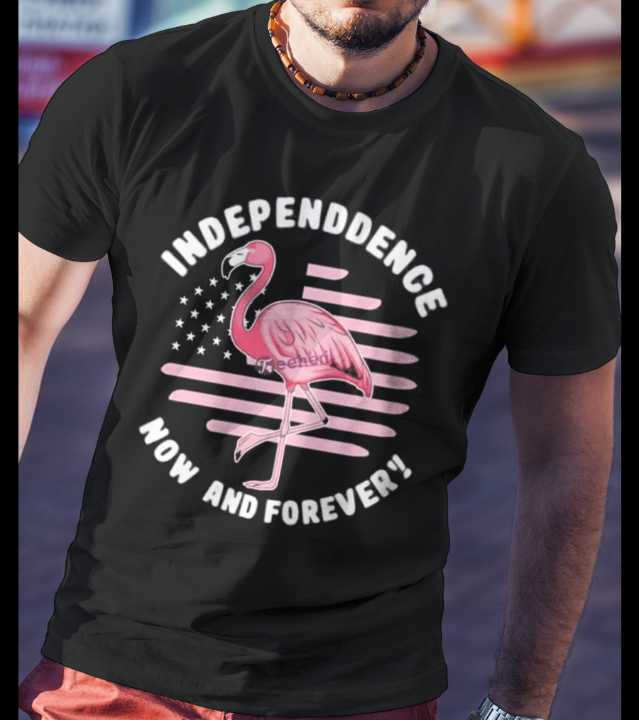 Independence Now And Forever Flamingo America Flag T-Shirt