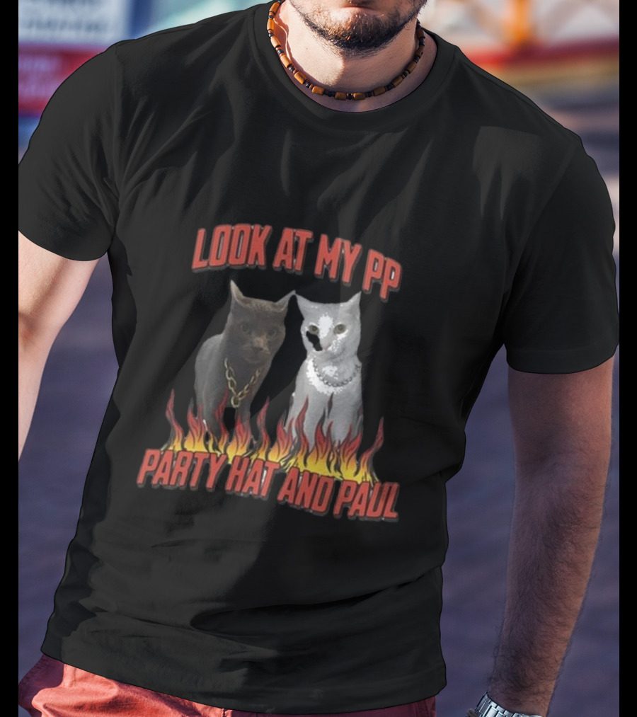 Look At My Pp Party Hat And Paul Cats With Flames T-Shirt