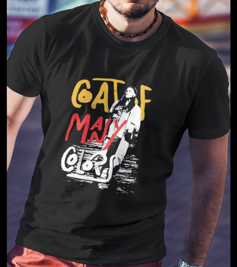 Brandon Lake Coat Of Many Colors T-Shirt