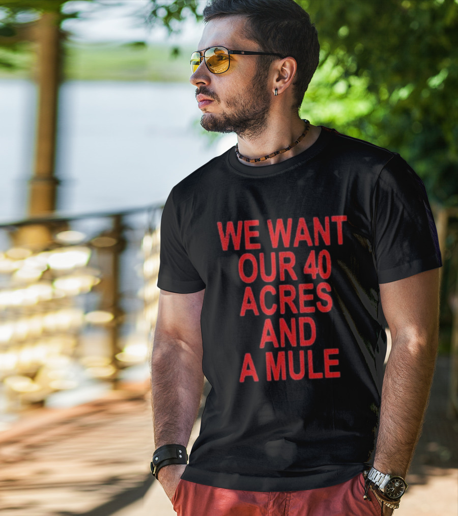 Spike Lee We Want Our 40 Acres And A Mule T-Shirt